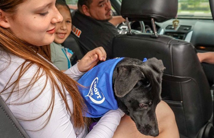 Woman holding a small dog wearing a blue Adopt Me bandanna on her lap in the back seat of a car while on a field trip